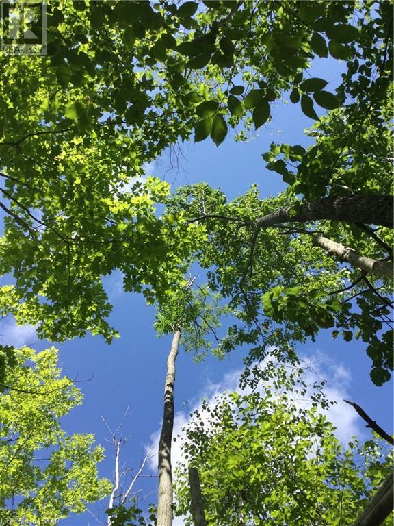 0 PATH, north bruce peninsula, Ontario